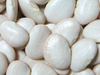 Poroto Pallares x 25kg