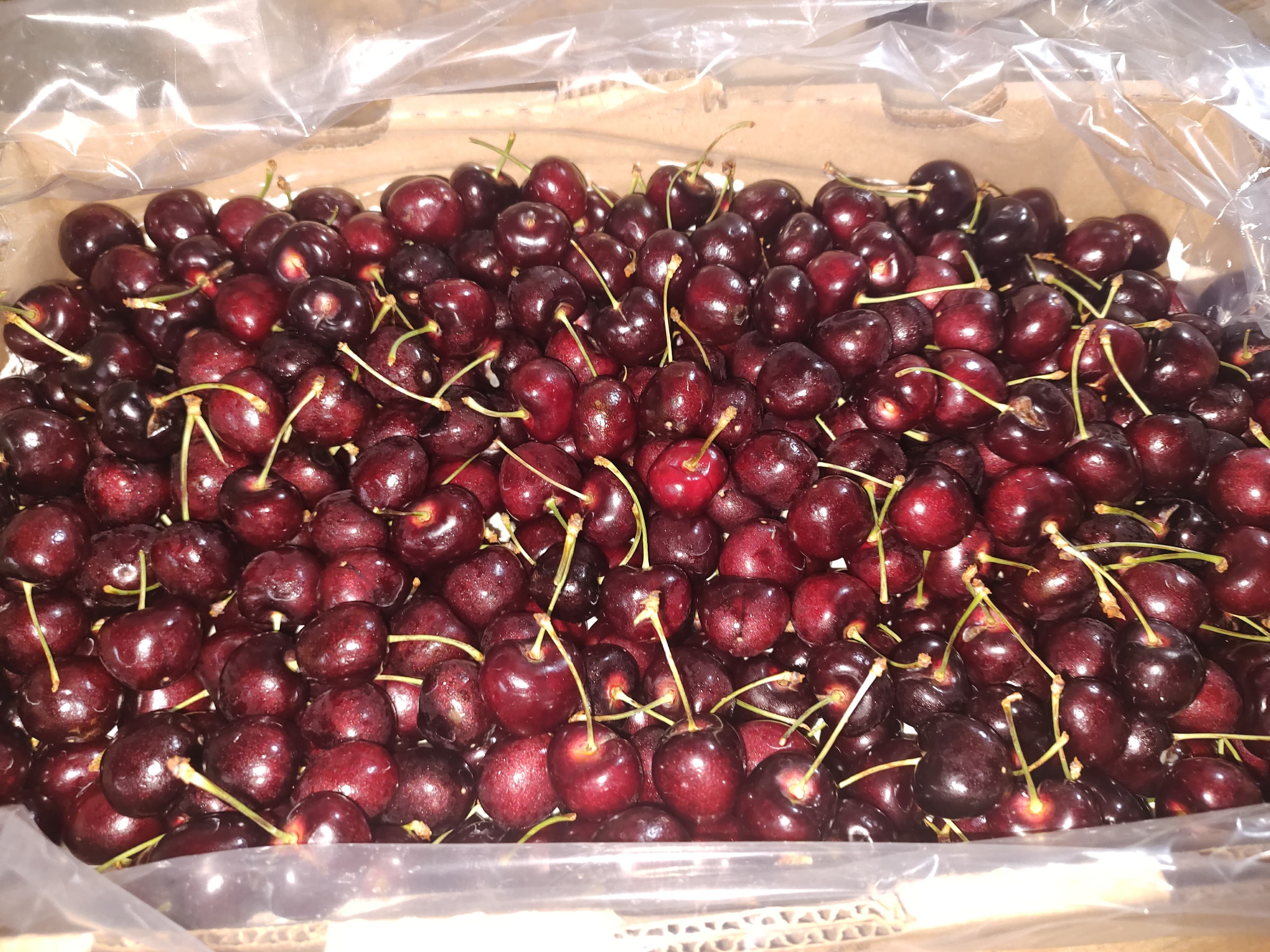 Cereza Fruta (x 500g)