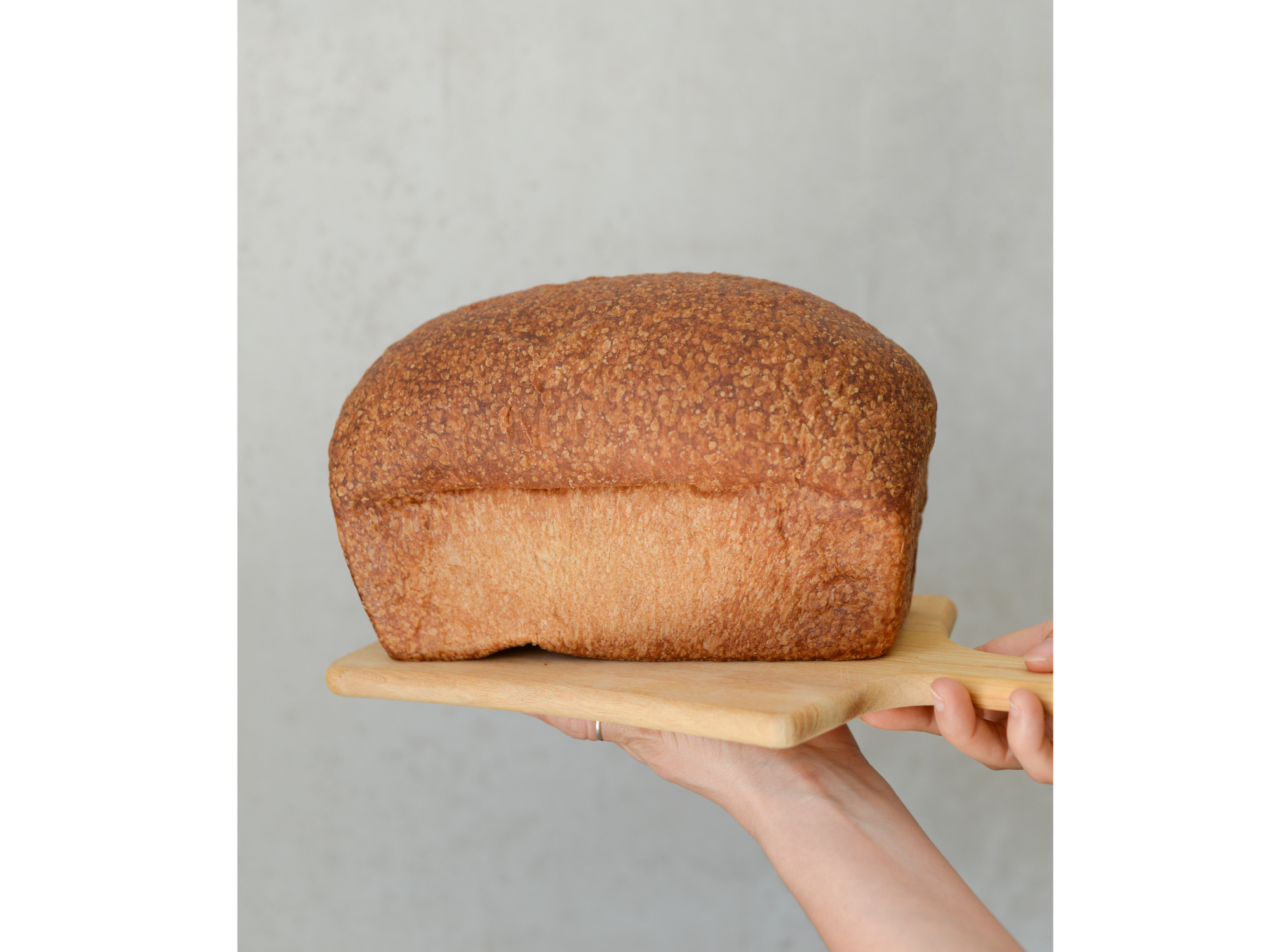 PAN BRIOCHE / MOLDE de somos alimento natural