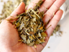 Yerba Ajedrez 500gr