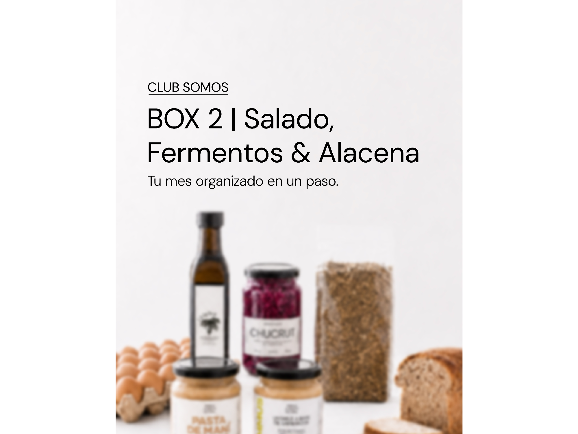 BOX 2 /  Salado, fermentos y alacena