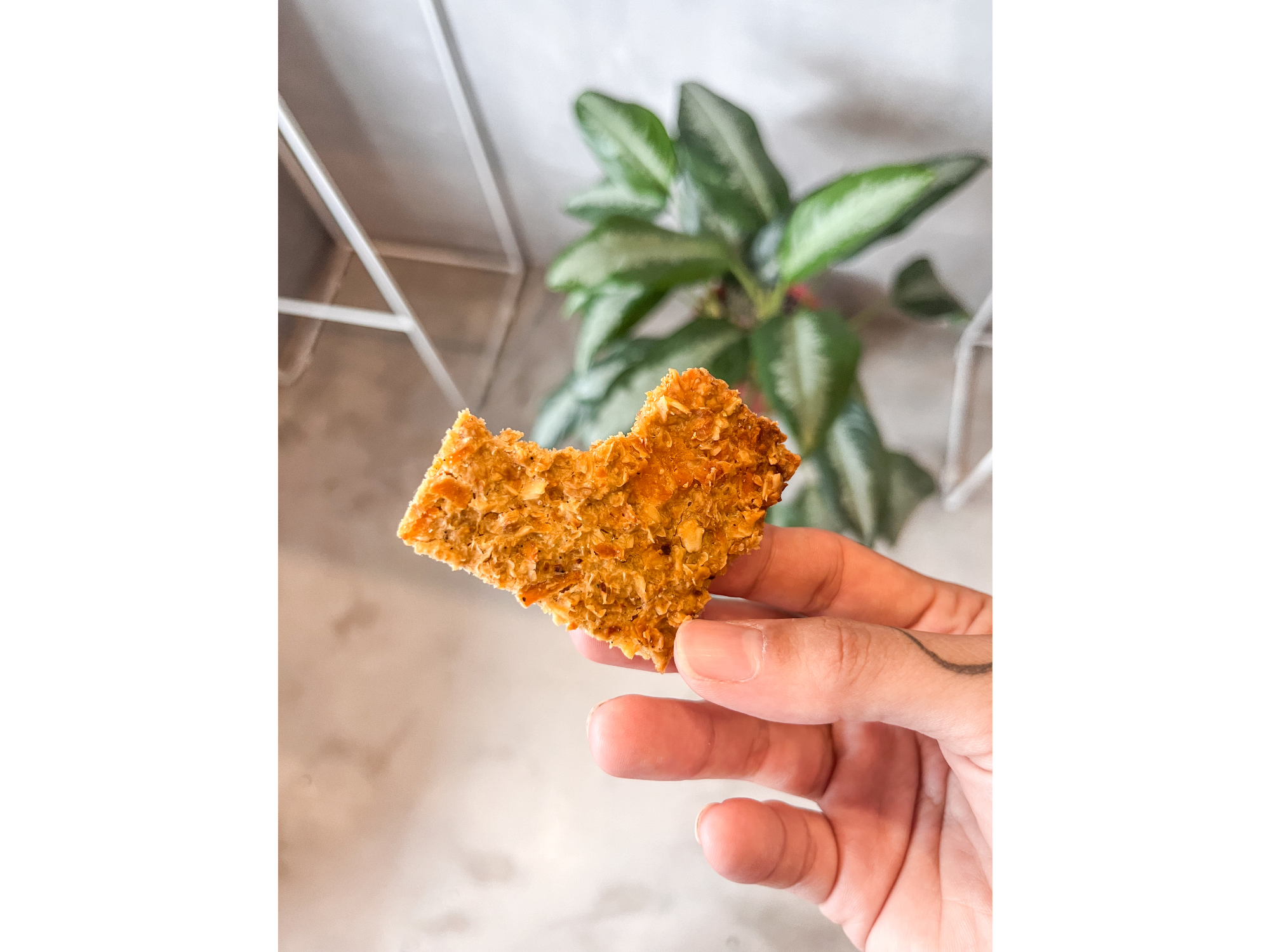 Crackers de Avena 160gr