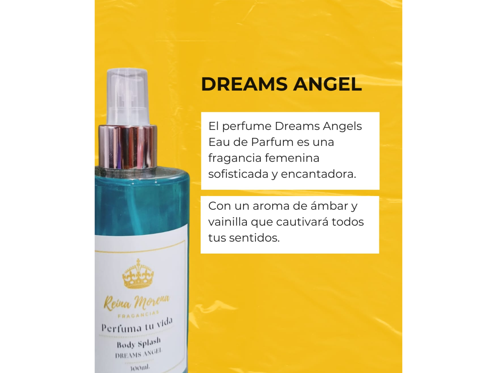 DREAMS ANGELS