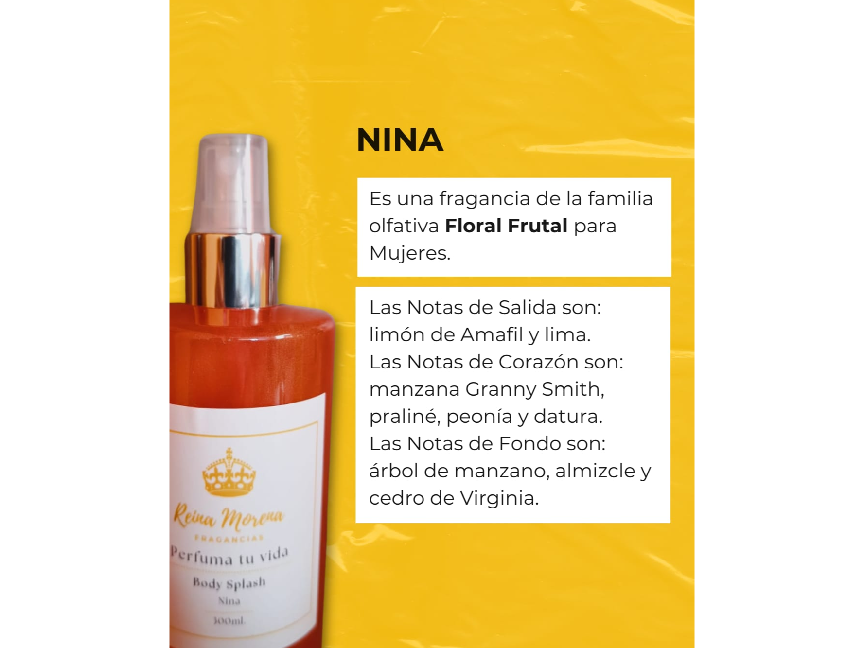 NINA
