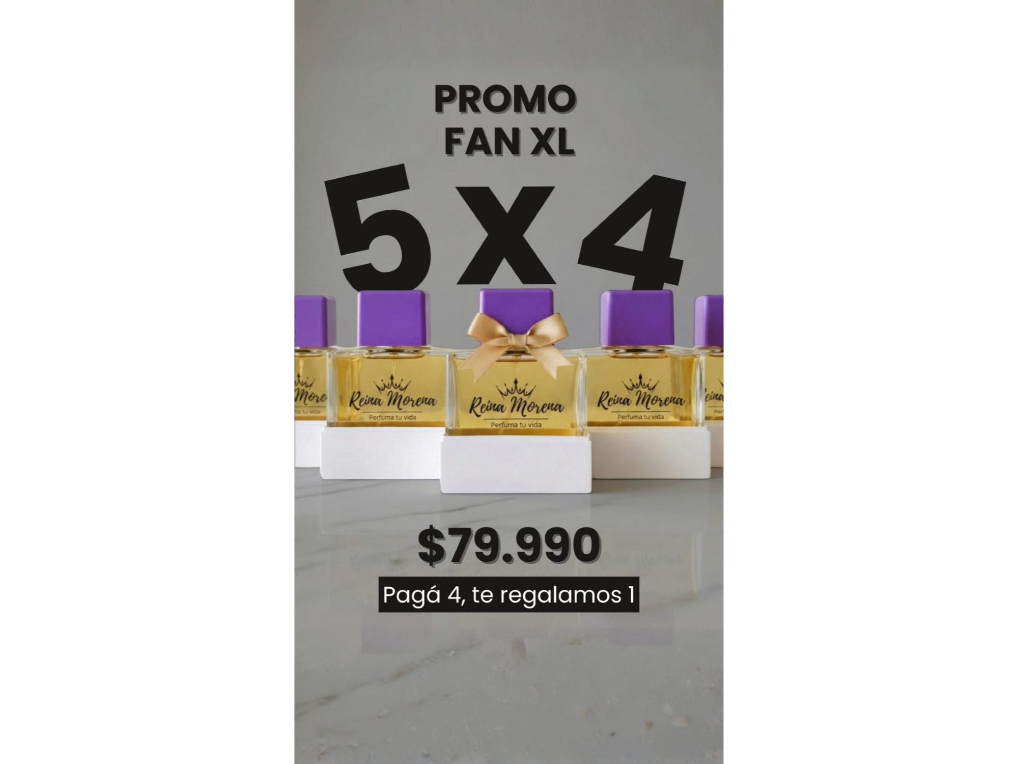 PROMO FAN XL (elegis 5 Perfumes ,solo abonas 4)