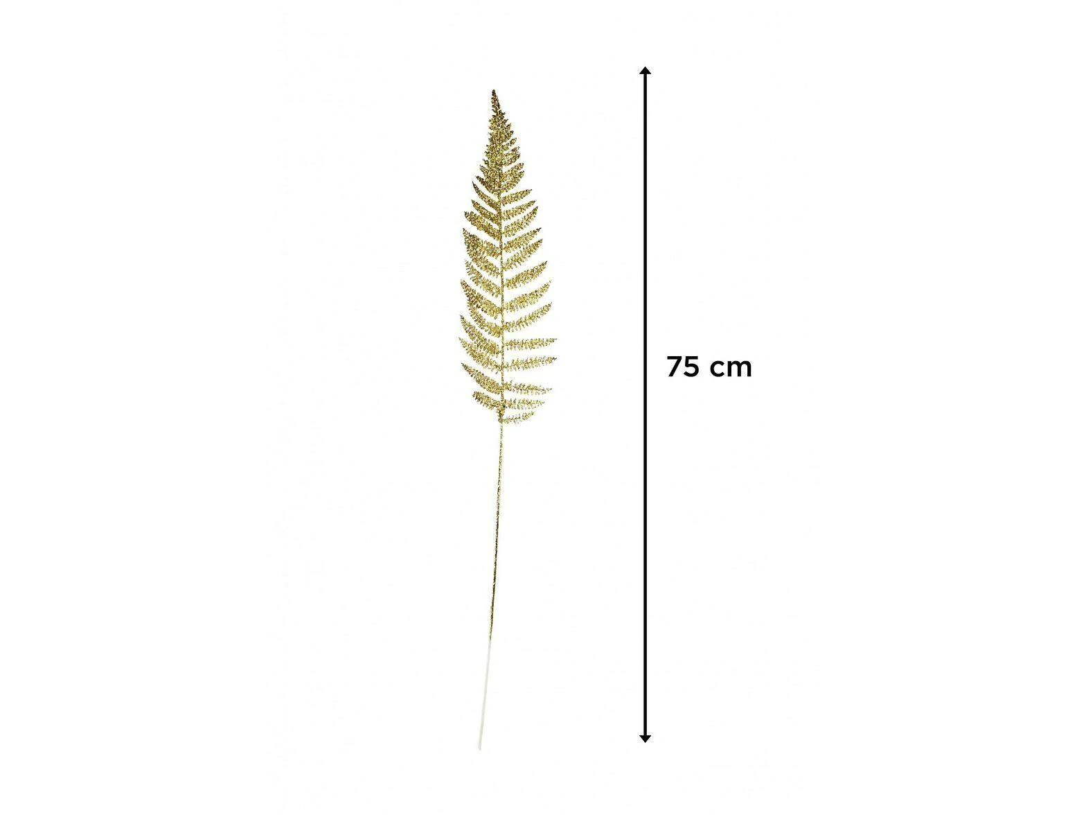 HOJA  75 CM X 1