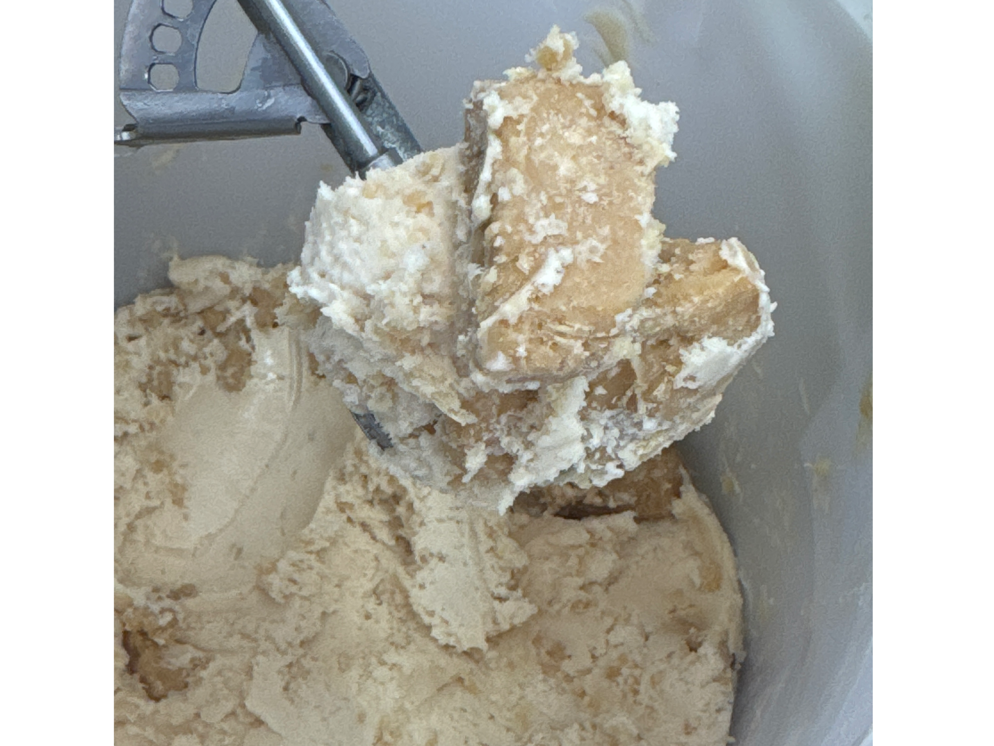 MANTECOL