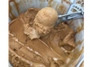 DULCE DE LECHE