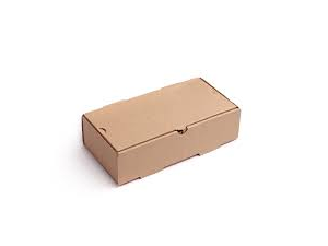 Caja lomo grande carton 22 x15  x100