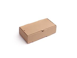 Caja lomo grande carton 22 x15 x100