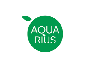 Agua saborizada 1.5L