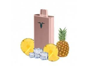 Pineapple ice 🍍🧊