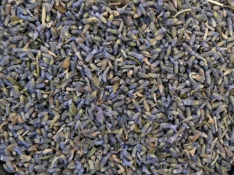 HIERBA LAVANDA