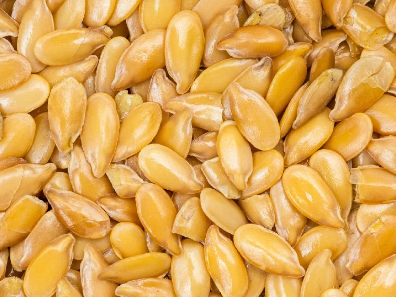 SEMILLA DE LINO DORADO