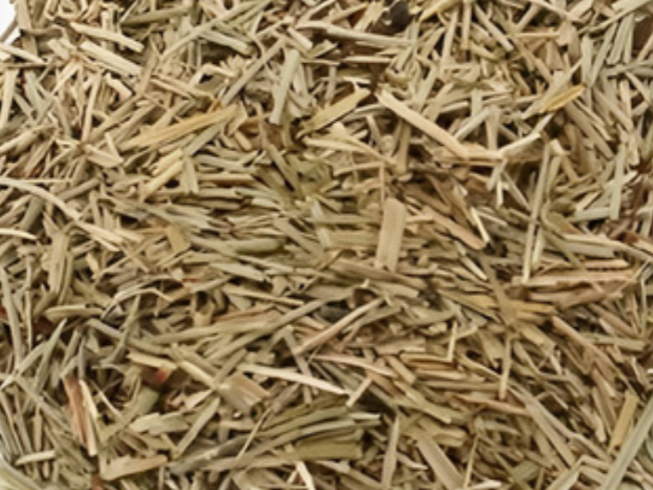 HIERBA COLA DE CABALLO