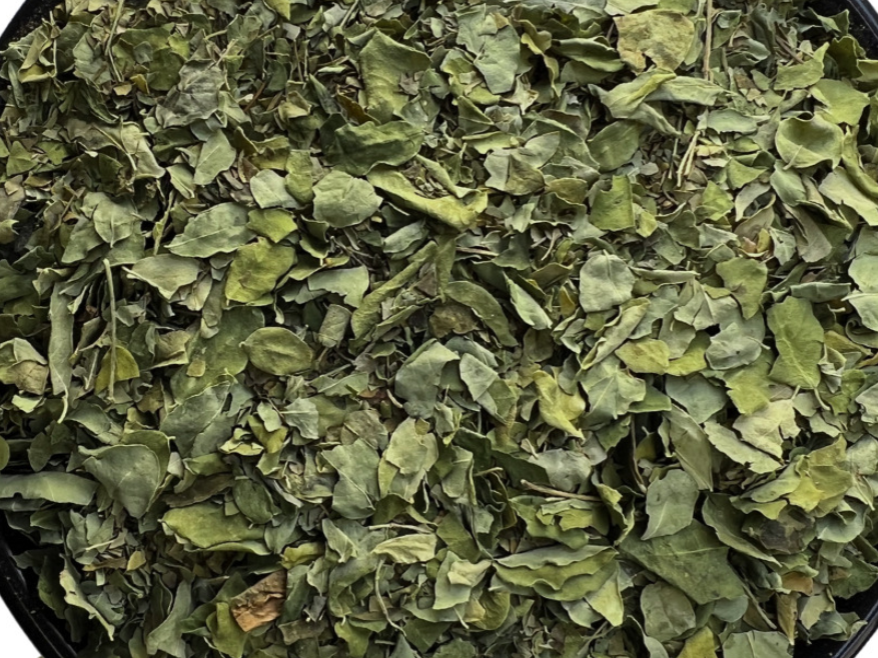 HIERBA MORINGA
