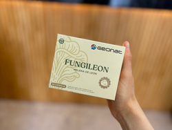 Melena de león 60 cápsulas