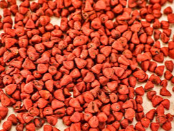 SEMILLA ACHIOTE/URUCUM