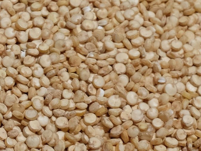 SEMILLA QUINOA