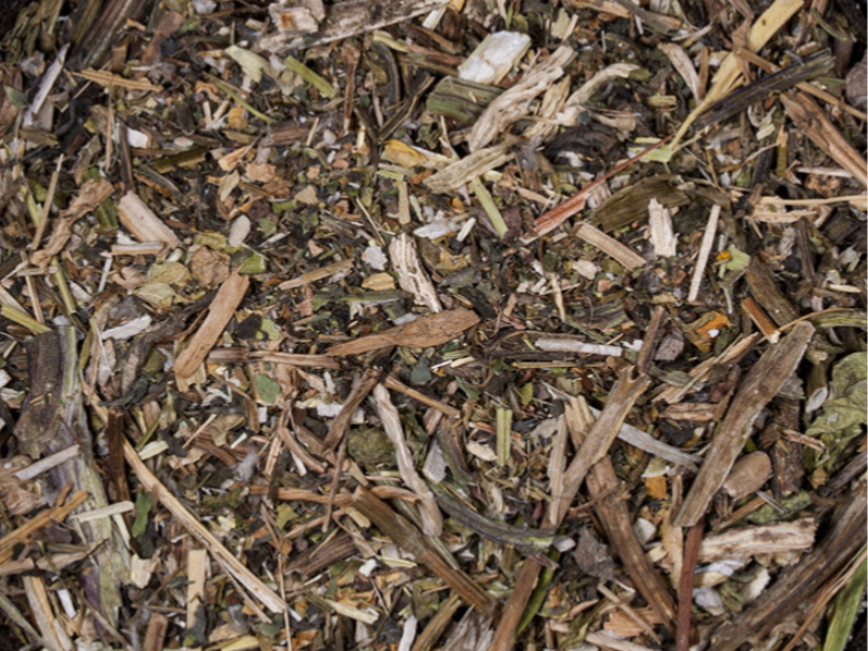 HIERBA DIENTE DE LEÓN