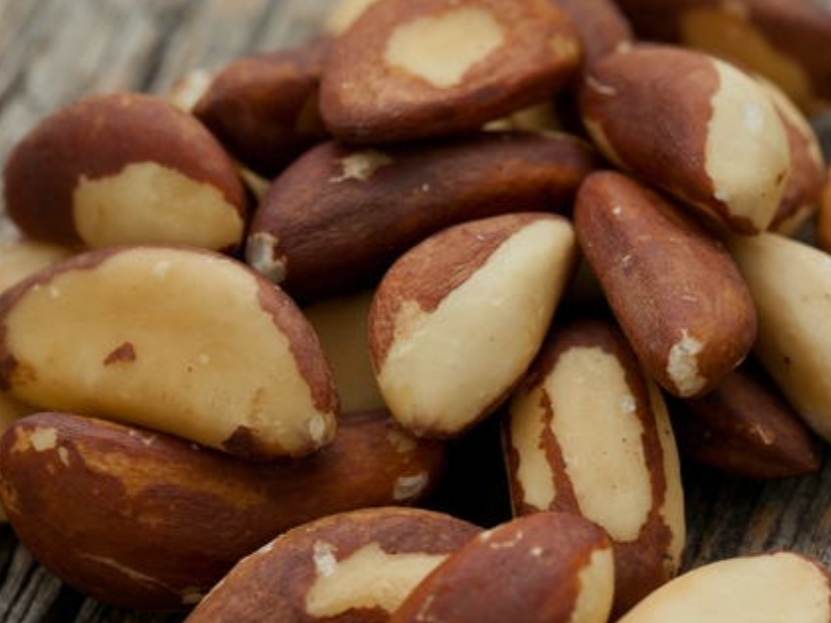 NUEZ DE BRASIL / CASTAÑA DE PARA