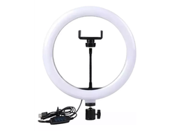 ARO DE LUZ BLANCO 26CM