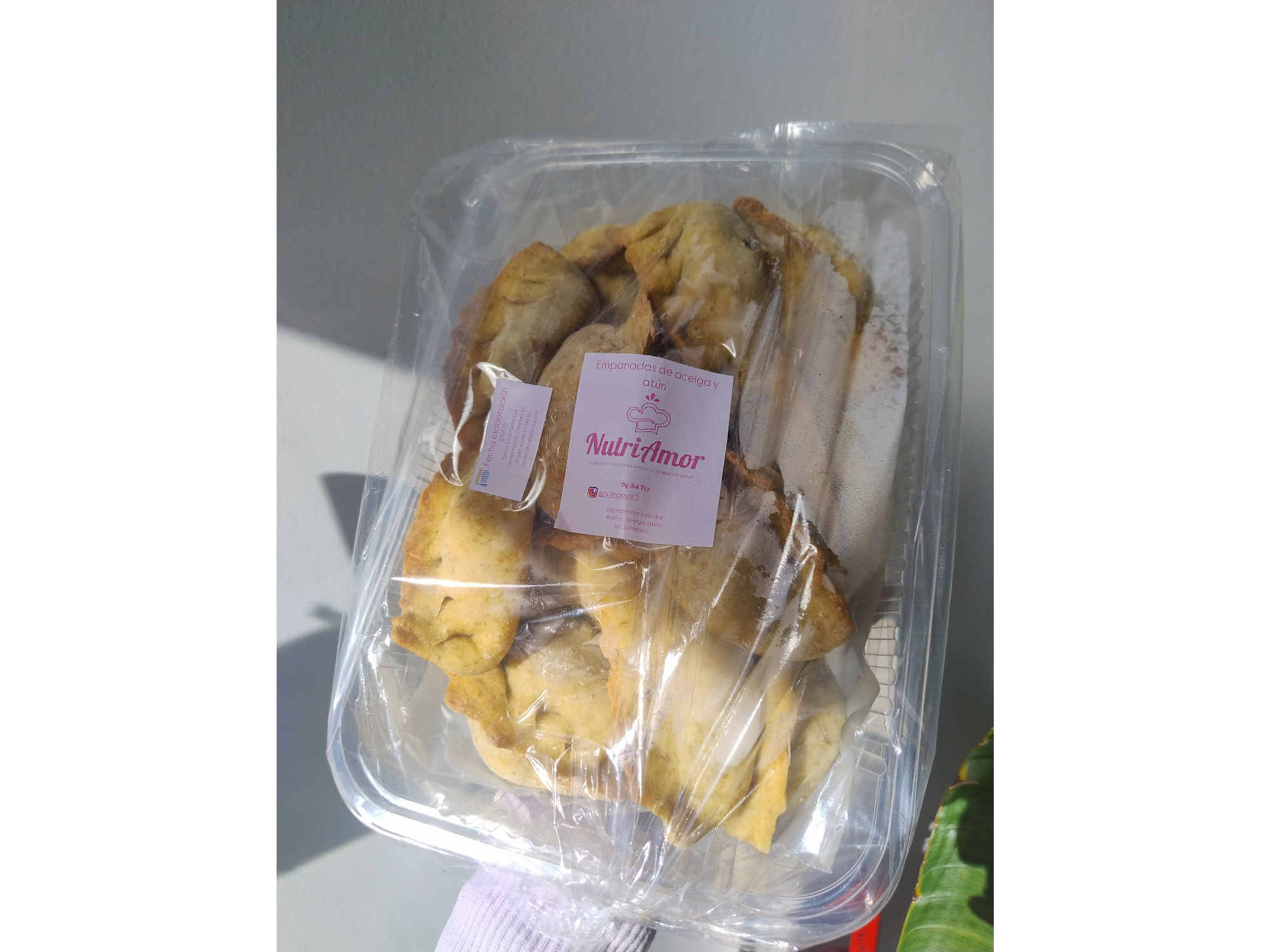 Empanadas Acelga y atun