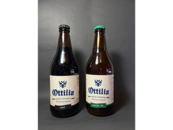 CERVEZA ARTESANAL EN BOTELLA
