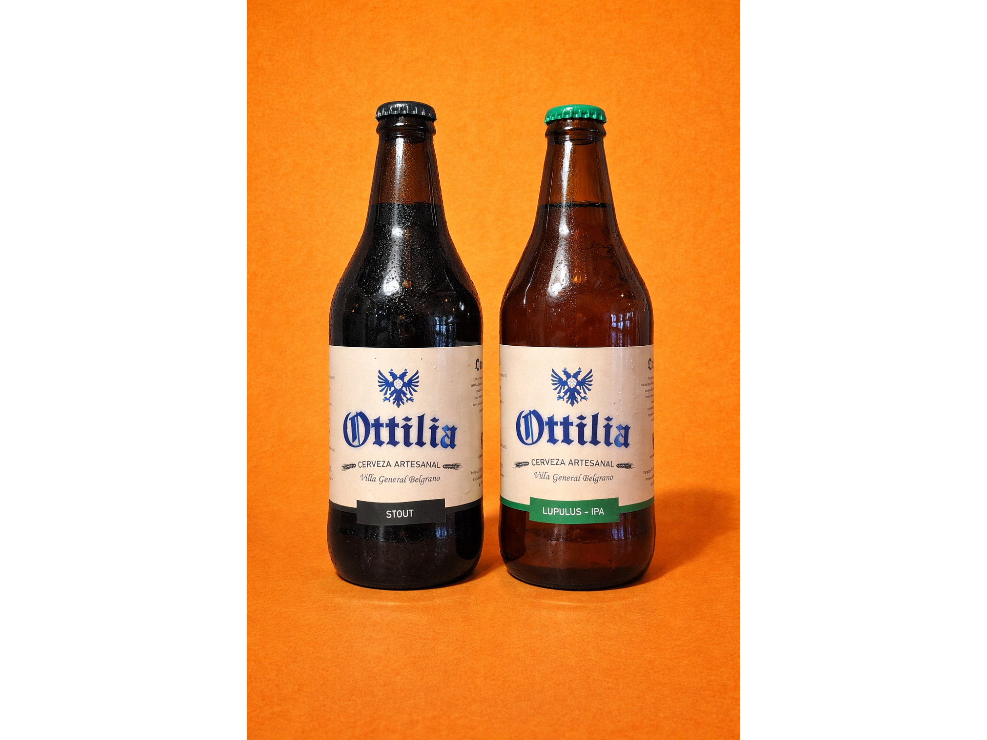 CERVEZA ARTESANAL EN BOTELLA