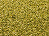 OREGANO