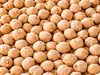 GARBANZO