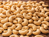 CASTAÑAS DE CAJU
