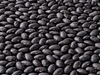 POROTO NEGRO