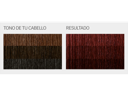 "L'Eau Vive - KIT Coloración en crema  TONO 4.6 (ROJOS)"