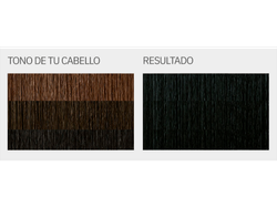 "L'Eau Vive - KIT Coloración en crema  TONO 11 (NEGROS)"