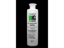 BIG SONICO SHAMPOO PROTECCIÓN DEL COLOR Y ALISADO – 500 ml