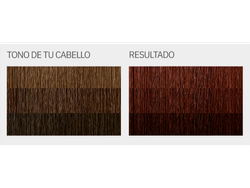 "L'Eau Vive - KIT Coloración en crema  TONO 5.6 (ROJOS)"