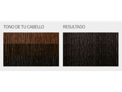 "L'Eau Vive - KIT Coloración en crema  TONO 1 (NEGROS)"