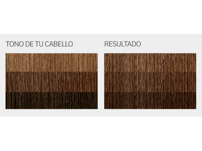 "L'Eau Vive - KIT Coloración en crema  TONO 6 (CASTAÑOS)"