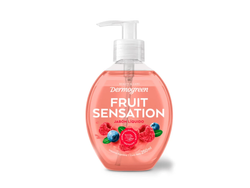 Dermogreen Jabón Líquido Fruit Sensation 250 ml