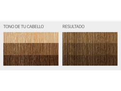 "L'Eau Vive - KIT Coloración en crema  TONO 8.1 (RUBIOS)"