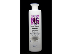 BIG SONICO SHAMPOO ACTIVADOR DE CURVAS 500 ml