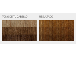 "L'Eau Vive - KIT Coloración en crema  TONO 7.3 (RUBIOS)"