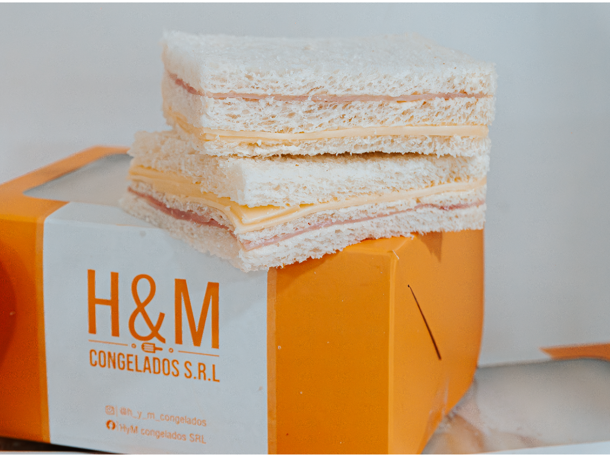 CAJA SANDWICH JAMON Y QUESO - APARTIR DE 6UND de H&M congelados srl