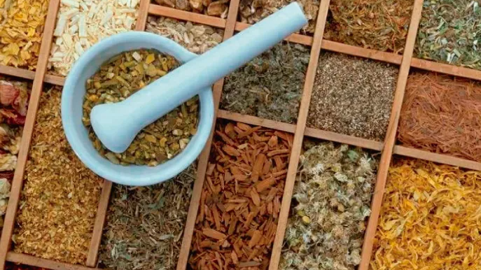 Herboristeria, Botanicos, Hierbas, etc