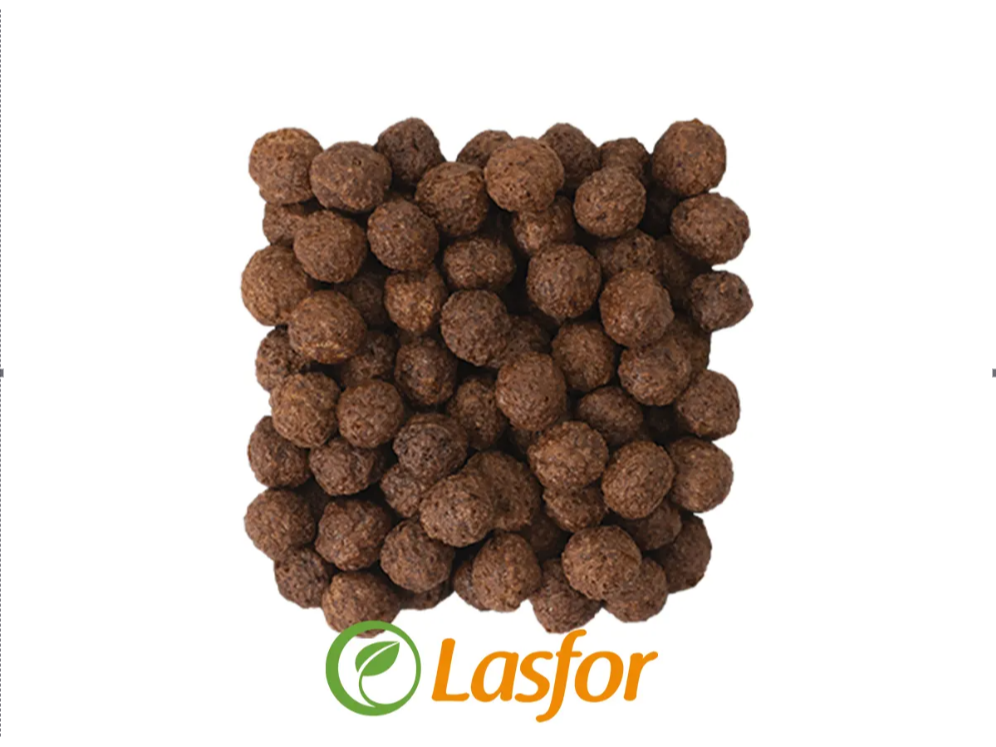 Bolitas de Chocolate