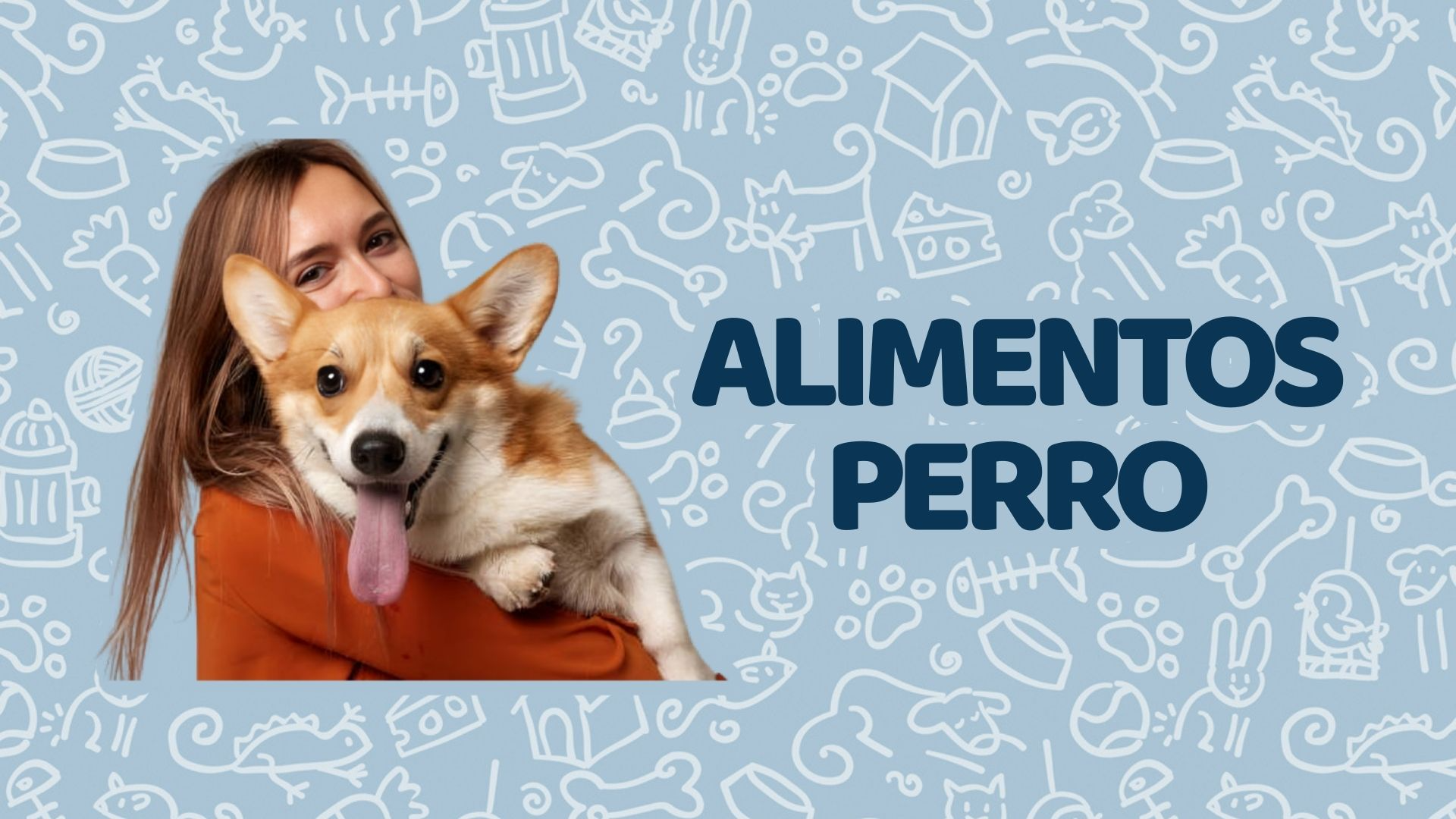 Alimentos Perro