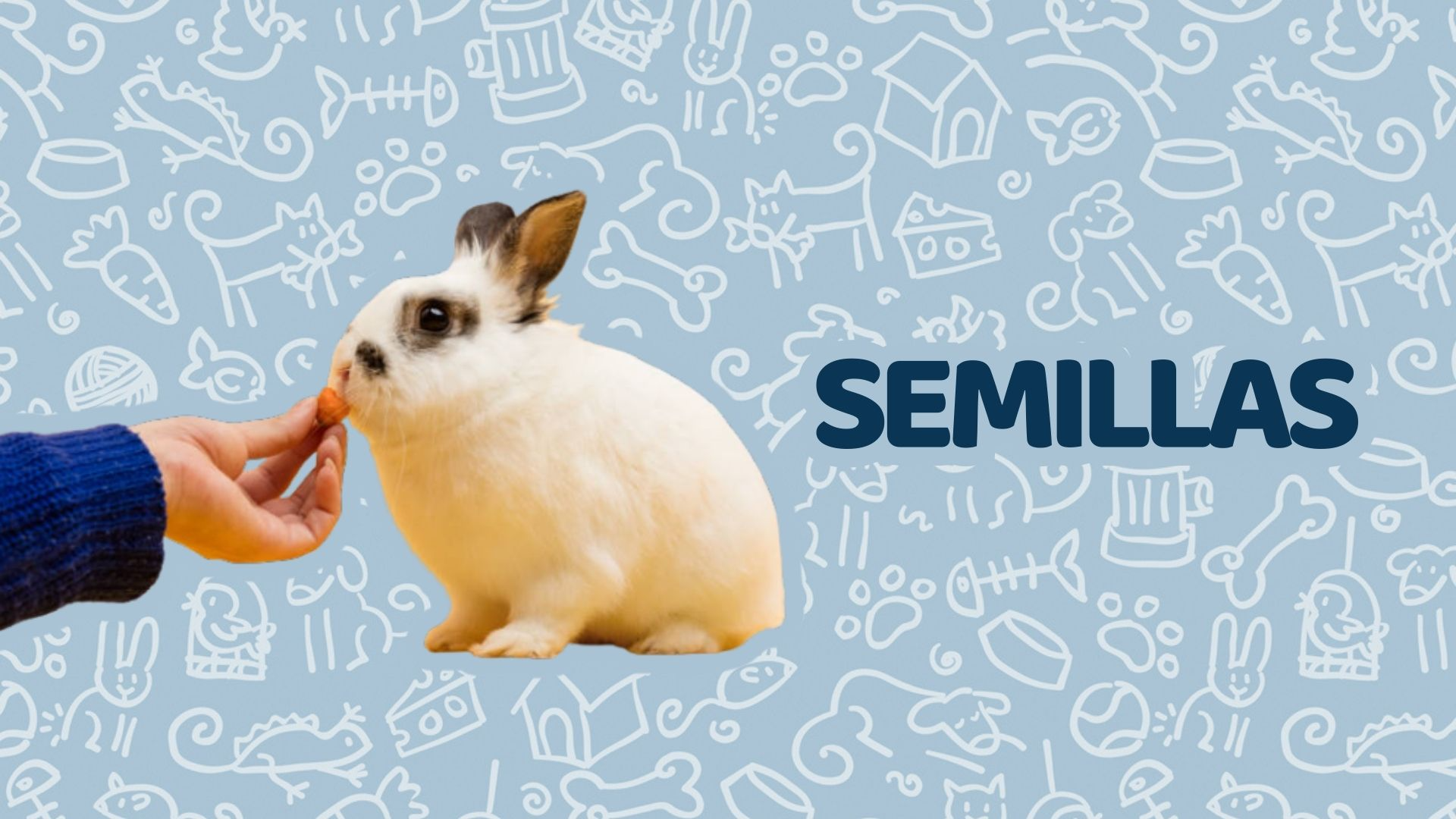 Semillas