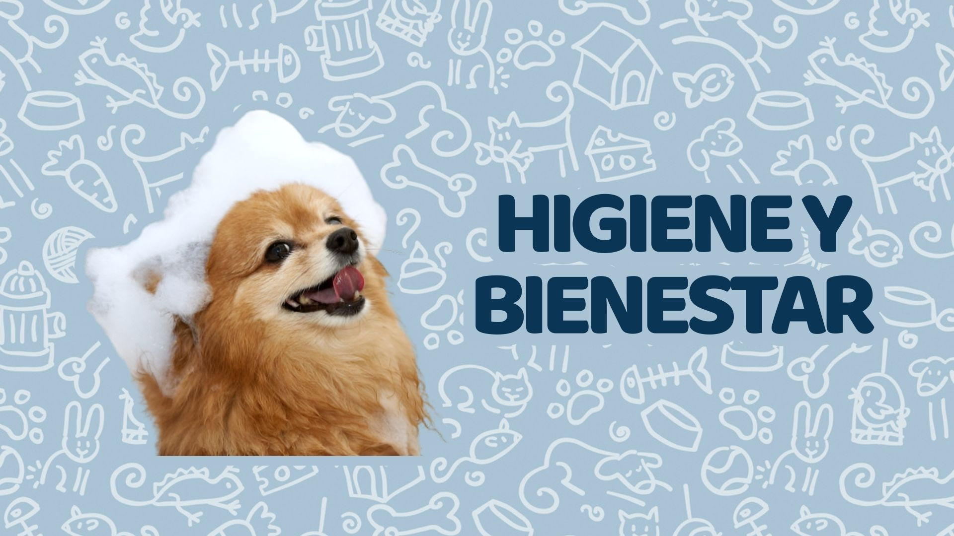 Higiene y Bienestar