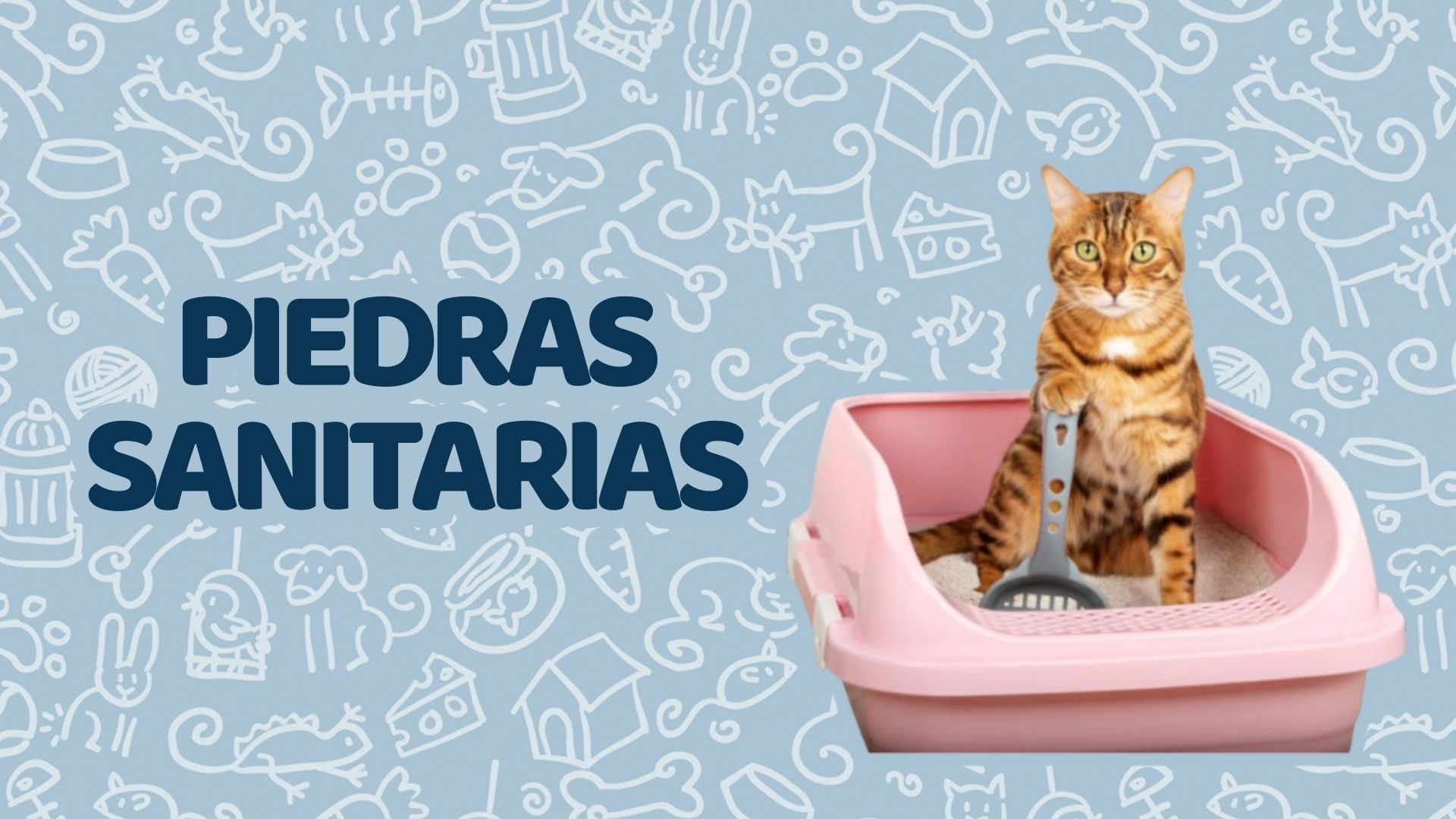 Piedras Sanitarias